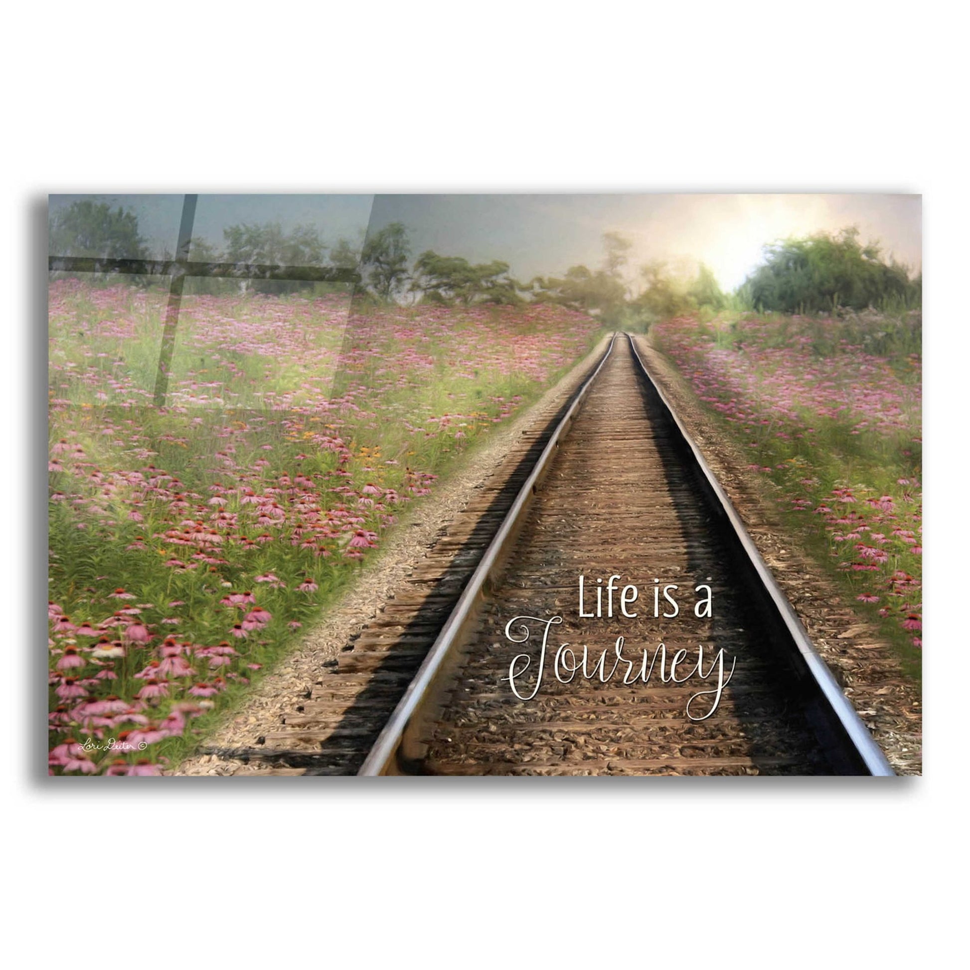 Epic Art 'Life is a Journey' by Lori Deiter Acrylic Glass Wall Art,24x16