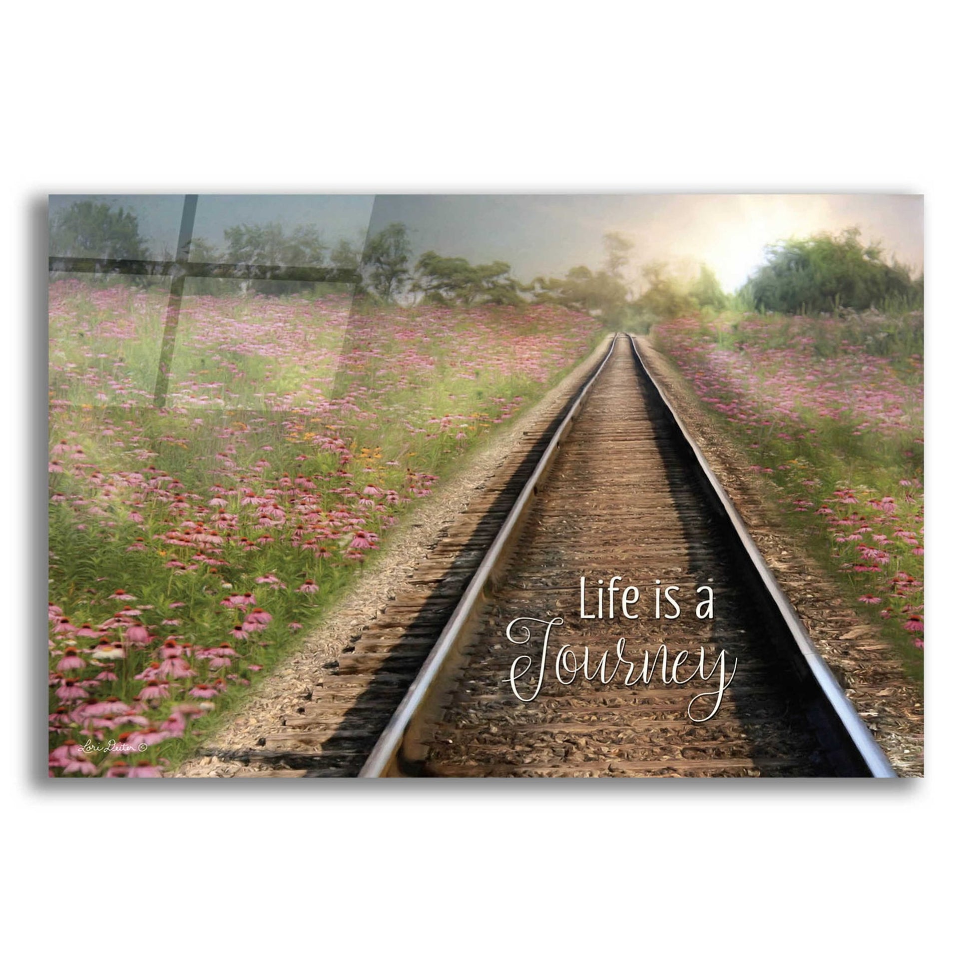 Epic Art 'Life is a Journey' by Lori Deiter Acrylic Glass Wall Art