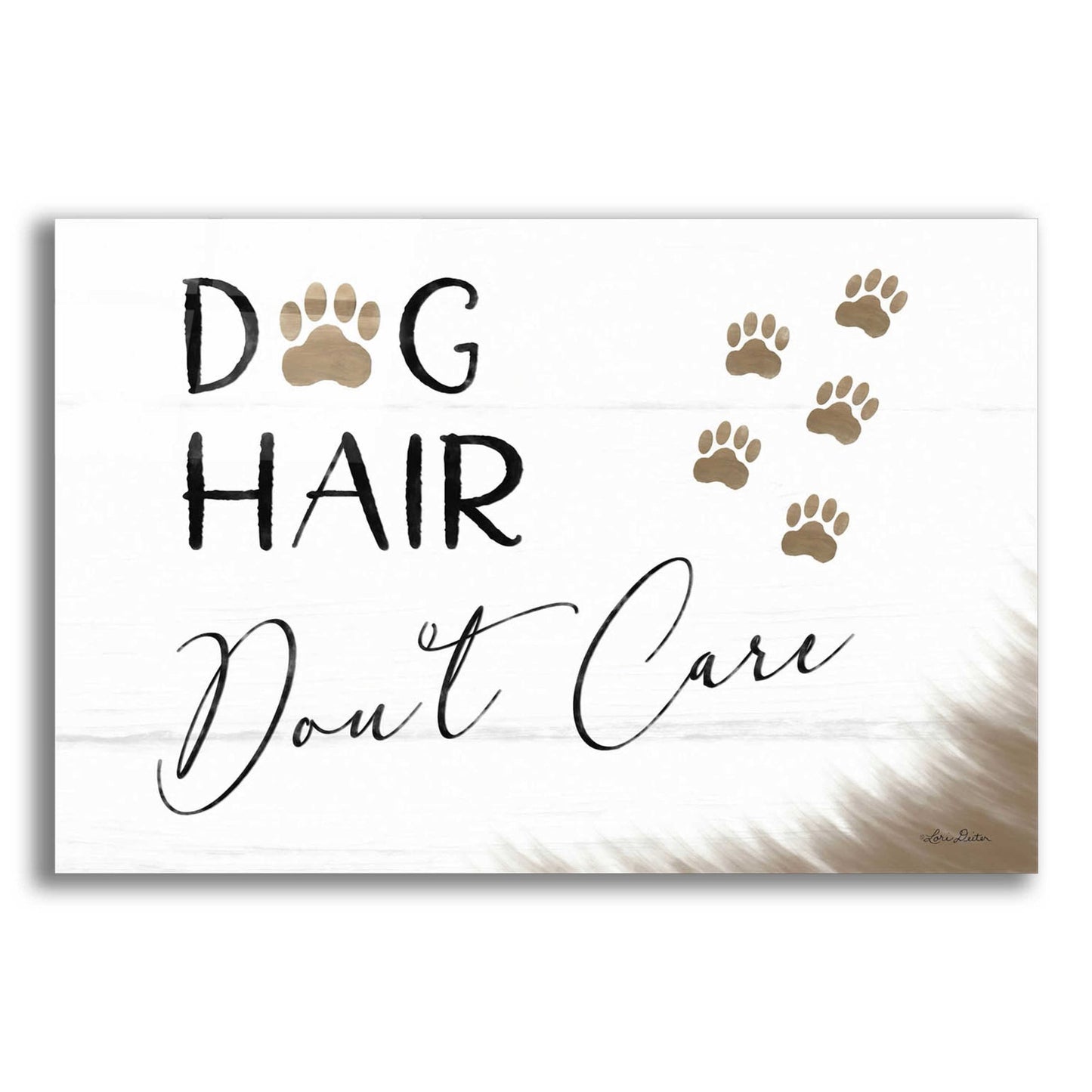 Epic Art 'Dog Hair, Don't Care' by Lori Deiter Acrylic Glass Wall Art,24x16