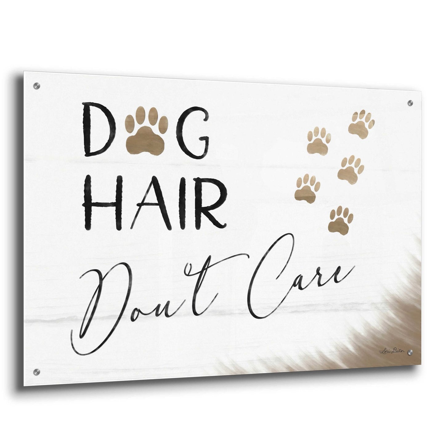 Epic Art 'Dog Hair, Don't Care' by Lori Deiter Acrylic Glass Wall Art,36x24