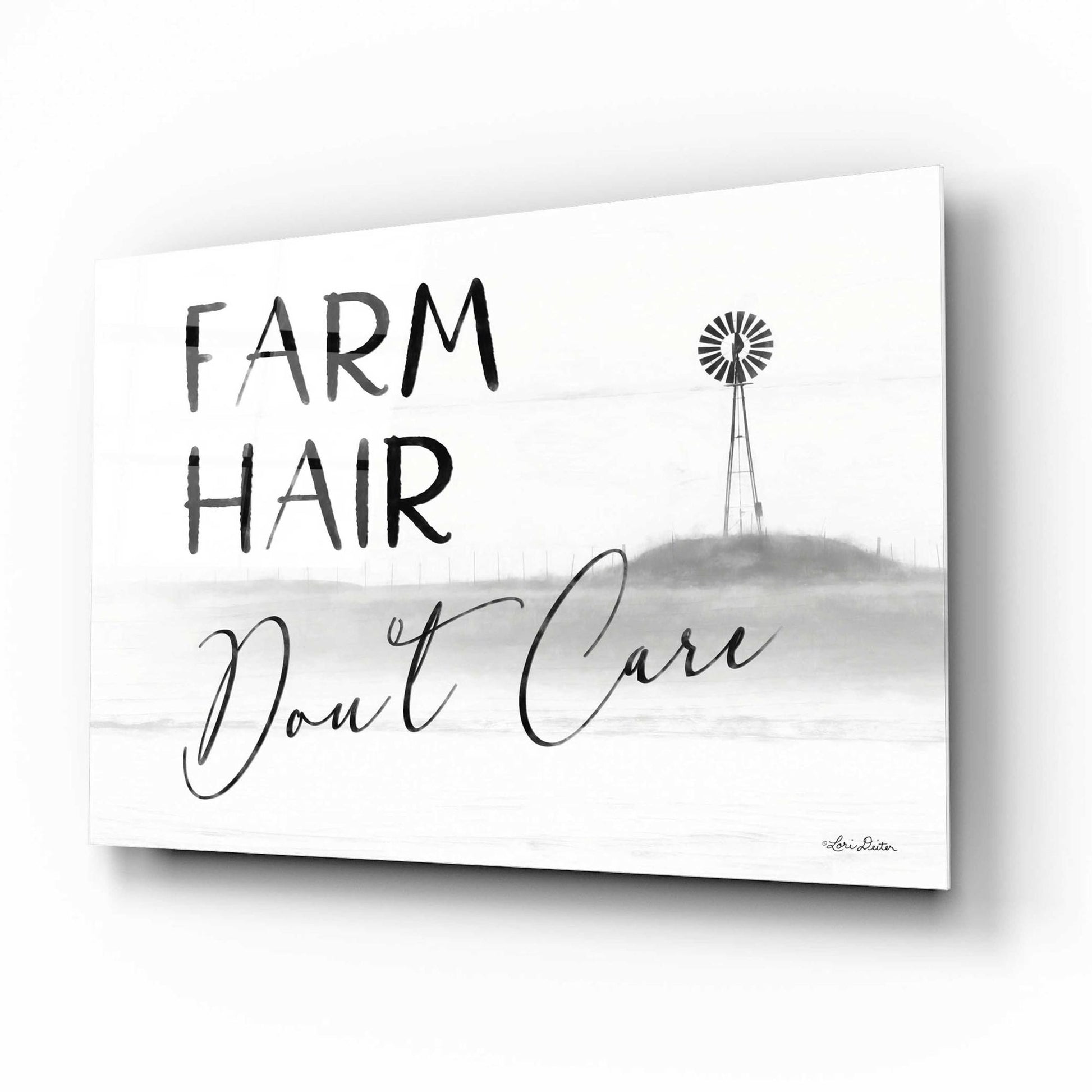 Epic Art 'Farm Hair, Don't Care' by Lori Deiter Acrylic Glass Wall Art,16x12