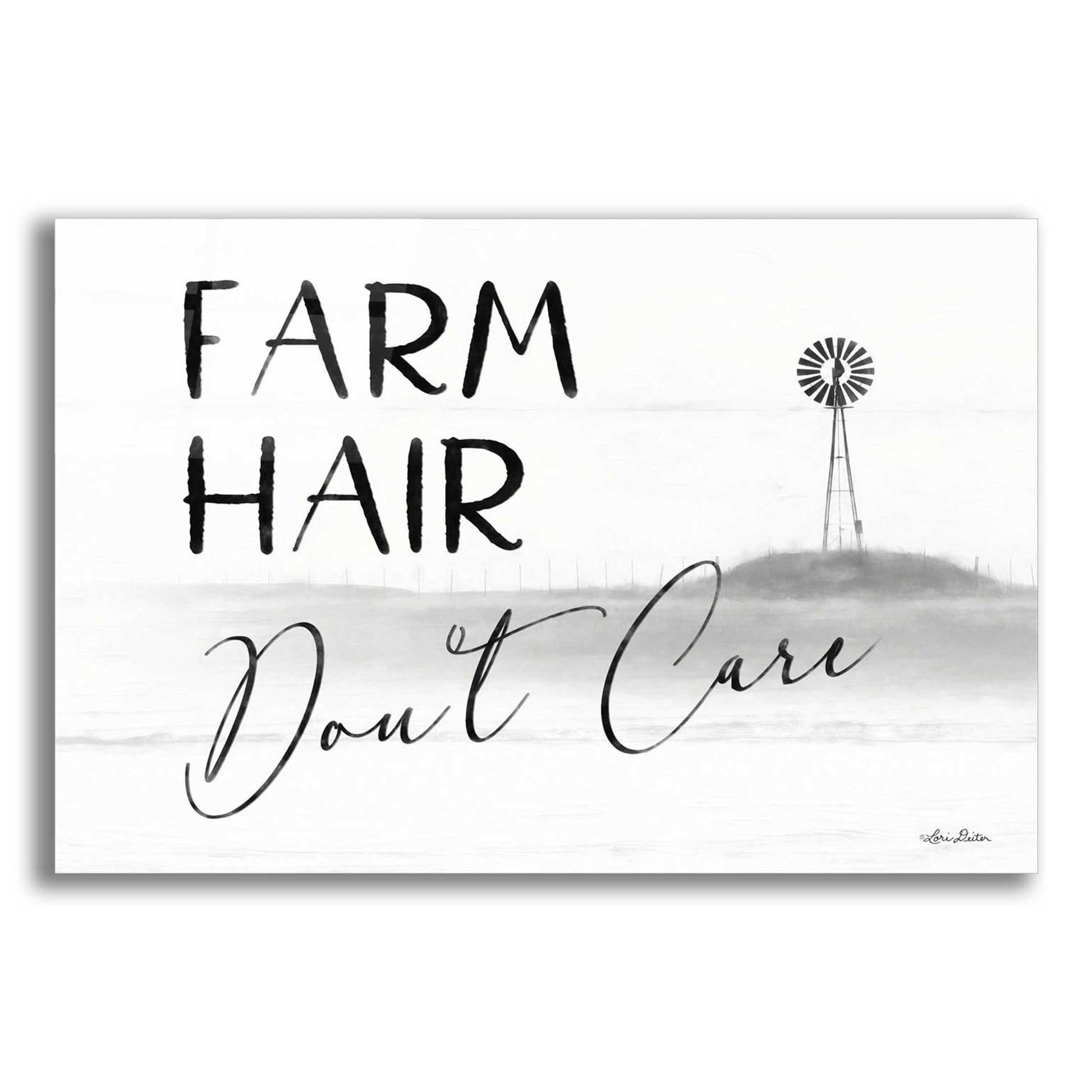 Epic Art 'Farm Hair, Don't Care' by Lori Deiter Acrylic Glass Wall Art,24x16