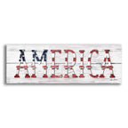 Epic Art 'America' by Lori Deiter Acrylic Glass Wall Art,3:1