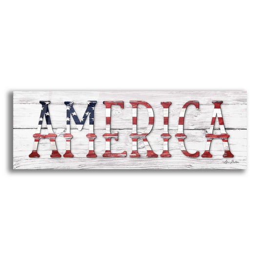 Epic Art 'America' by Lori Deiter Acrylic Glass Wall Art,3:1