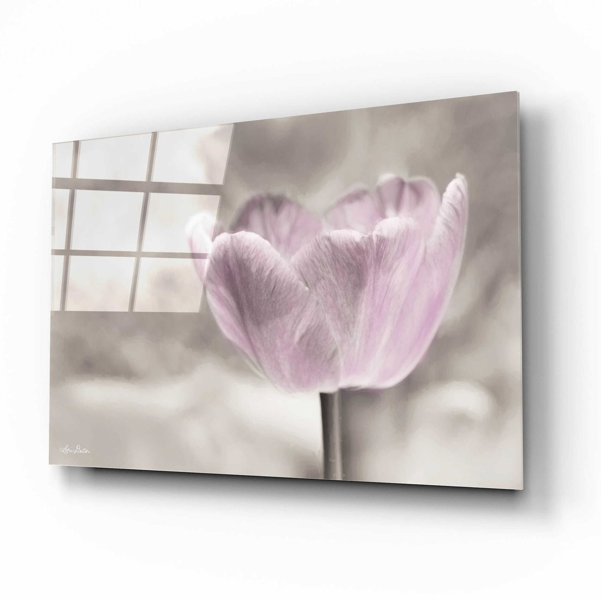 Epic Art 'Violet Tulip' by Lori Deiter Acrylic Glass Wall Art,16x12