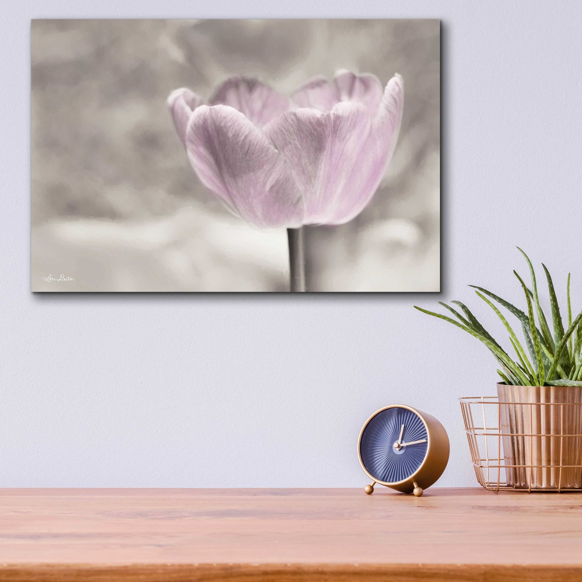 Epic Art 'Violet Tulip' by Lori Deiter Acrylic Glass Wall Art,16x12