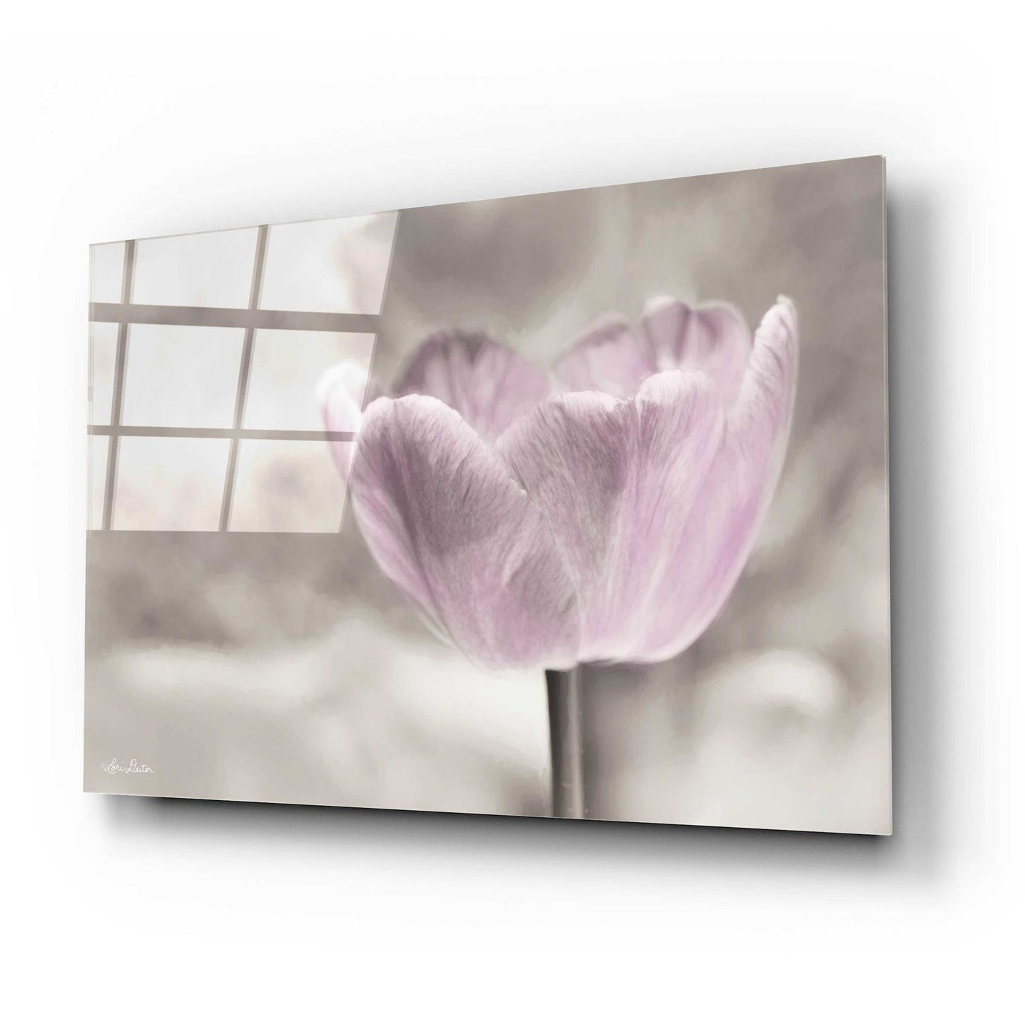 Epic Art 'Violet Tulip' by Lori Deiter Acrylic Glass Wall Art,24x16