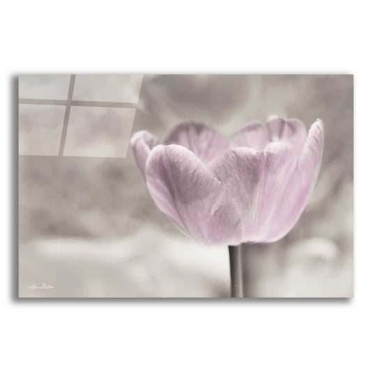 Epic Art 'Violet Tulip' by Lori Deiter Acrylic Glass Wall Art