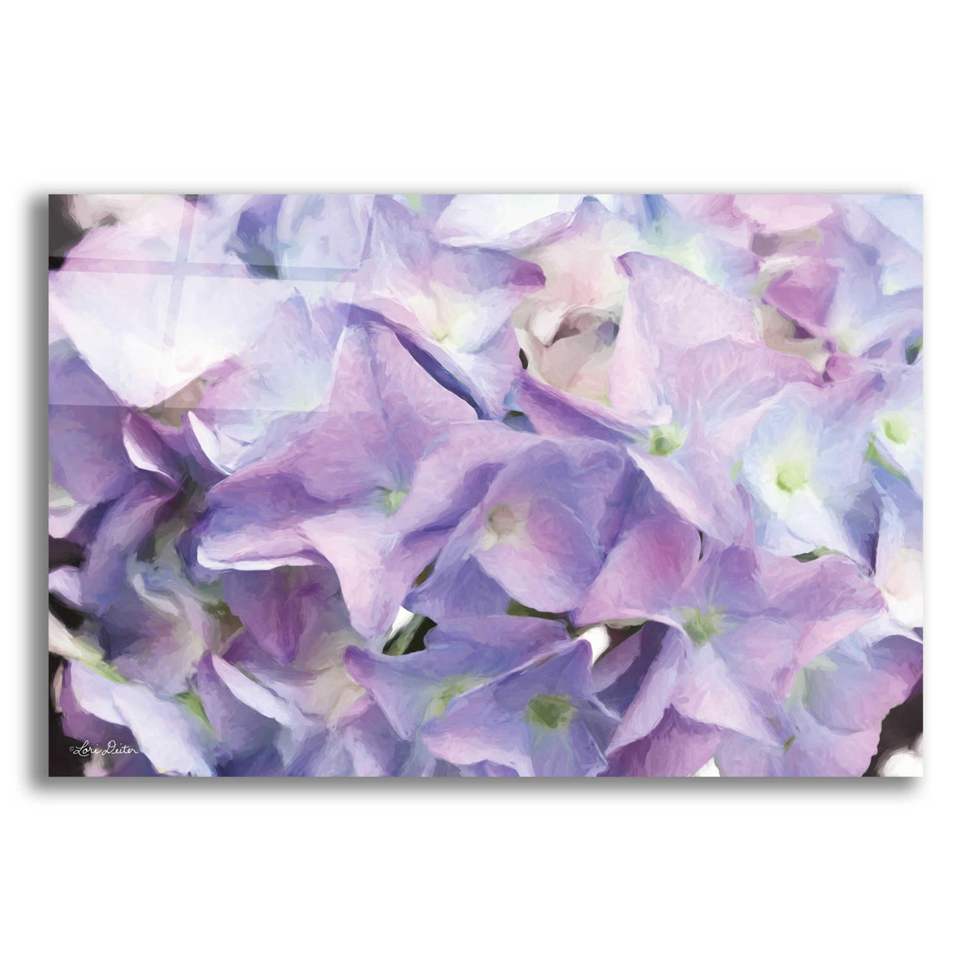 Epic Art 'Violet Hydrangeas' by Lori Deiter Acrylic Glass Wall Art,24x16