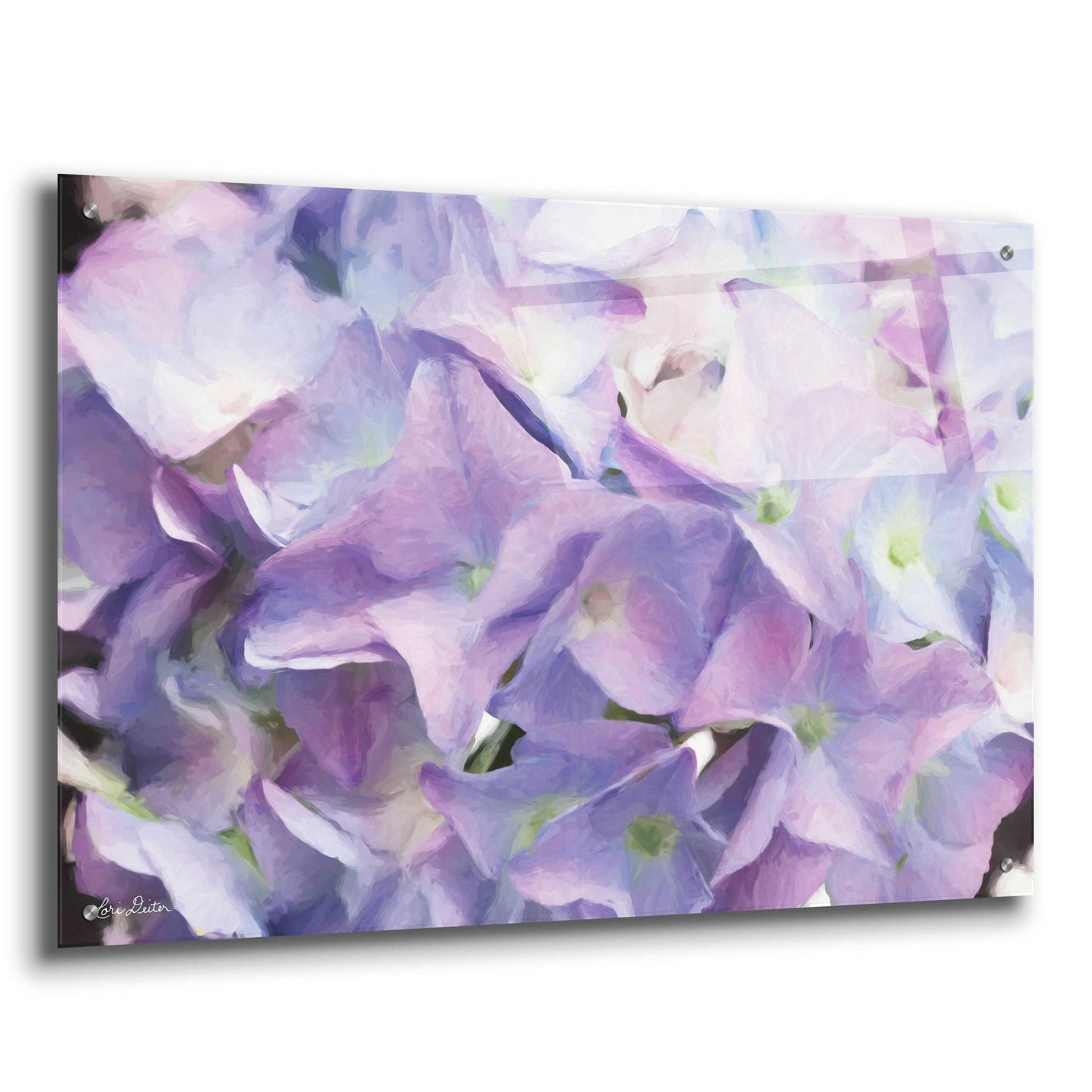 Epic Art 'Violet Hydrangeas' by Lori Deiter Acrylic Glass Wall Art,36x24