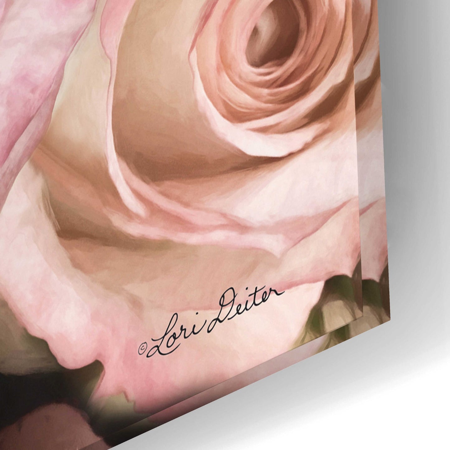 Epic Art 'Top View - Pink Roses' by Lori Deiter Acrylic Glass Wall Art,24x16