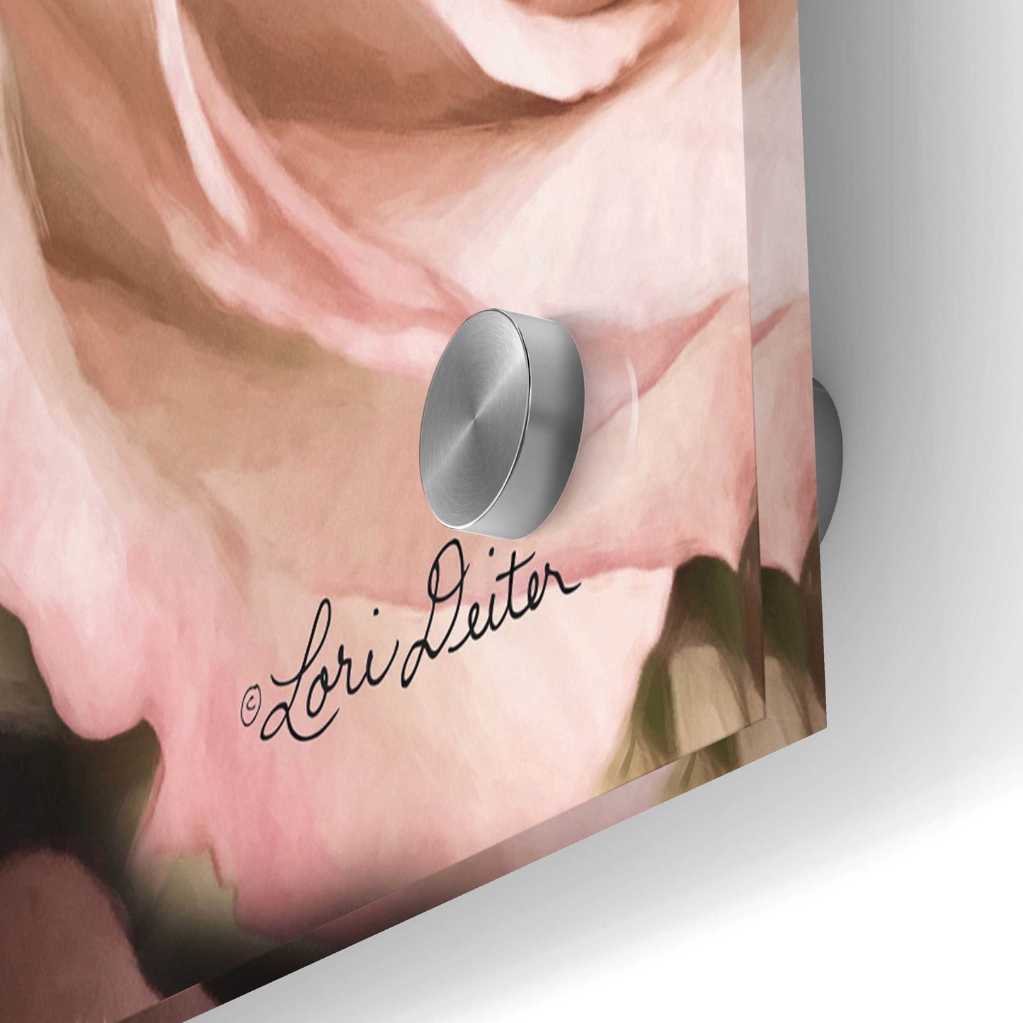 Epic Art 'Top View - Pink Roses' by Lori Deiter Acrylic Glass Wall Art,36x24