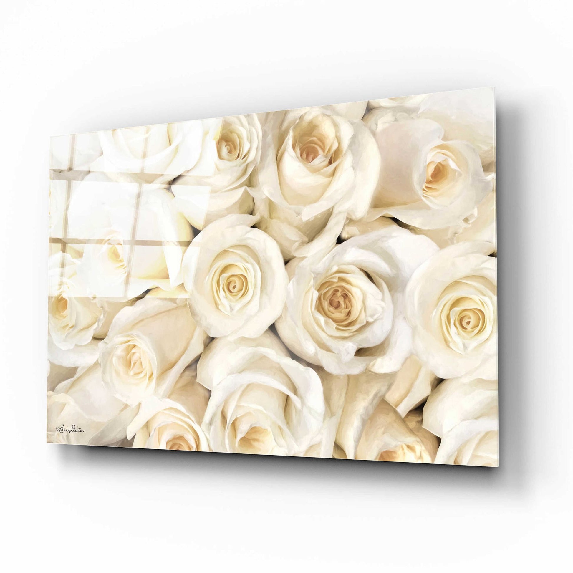 Epic Art 'Top View - White Roses' by Lori Deiter Acrylic Glass Wall Art,16x12