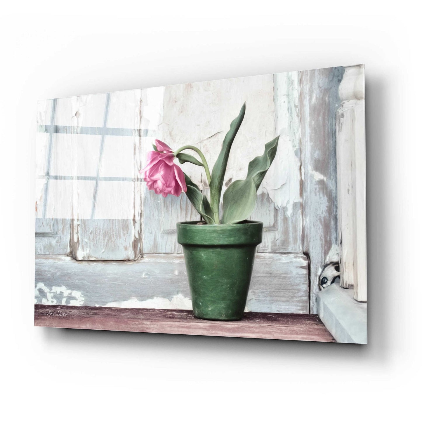 Epic Art 'Take a Bow Tulip' by Lori Deiter Acrylic Glass Wall Art,24x16