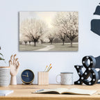 Epic Art 'In Full Bloom' by Lori Deiter Acrylic Glass Wall Art,16x12