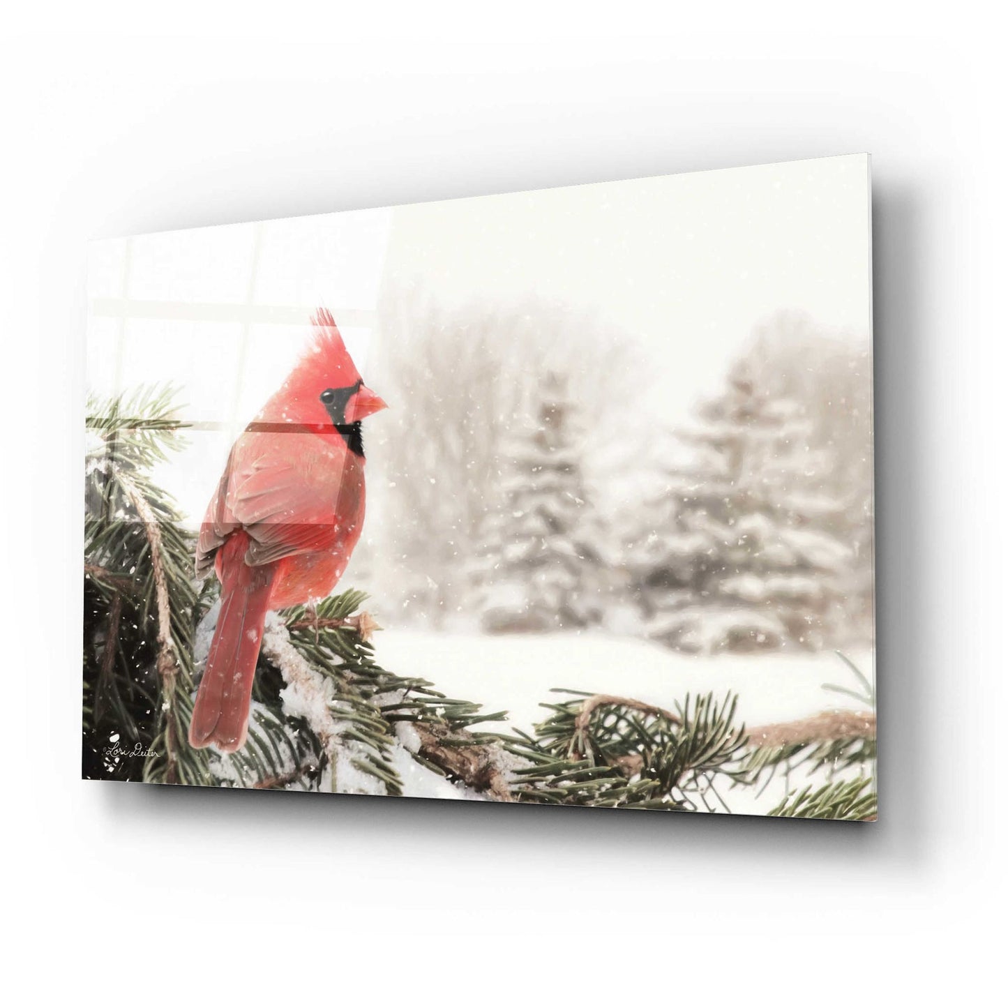 Epic Art 'Winter Perch' by Lori Deiter Acrylic Glass Wall Art,24x16