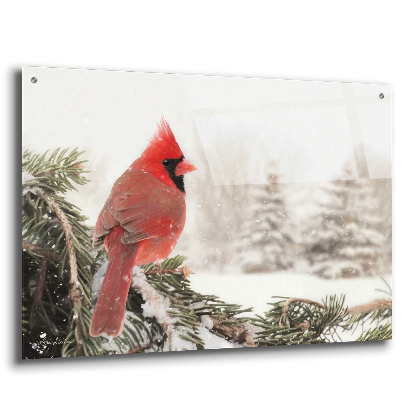 Epic Art 'Winter Perch' by Lori Deiter Acrylic Glass Wall Art,36x24