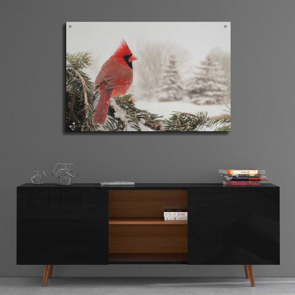 Epic Art 'Winter Perch' by Lori Deiter Acrylic Glass Wall Art,36x24