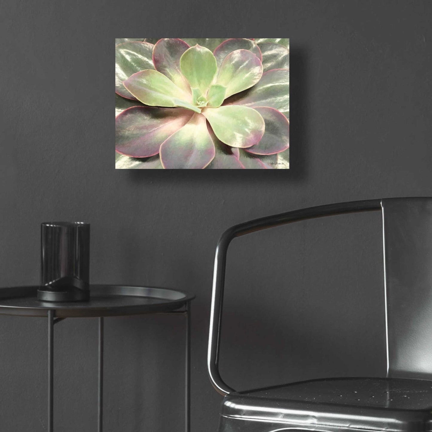 Epic Art 'Glowing Succulent I' by Lori Deiter Acrylic Glass Wall Art,16x12