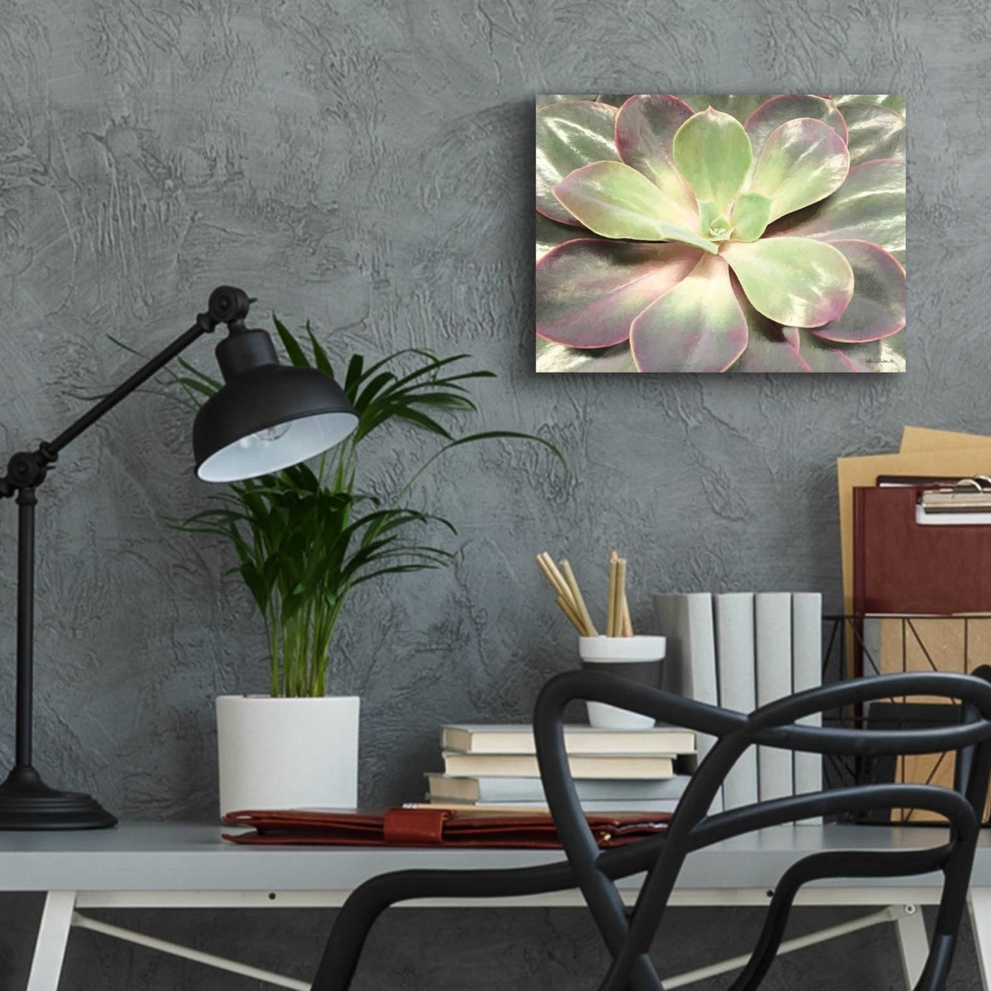 Epic Art 'Glowing Succulent I' by Lori Deiter Acrylic Glass Wall Art,16x12