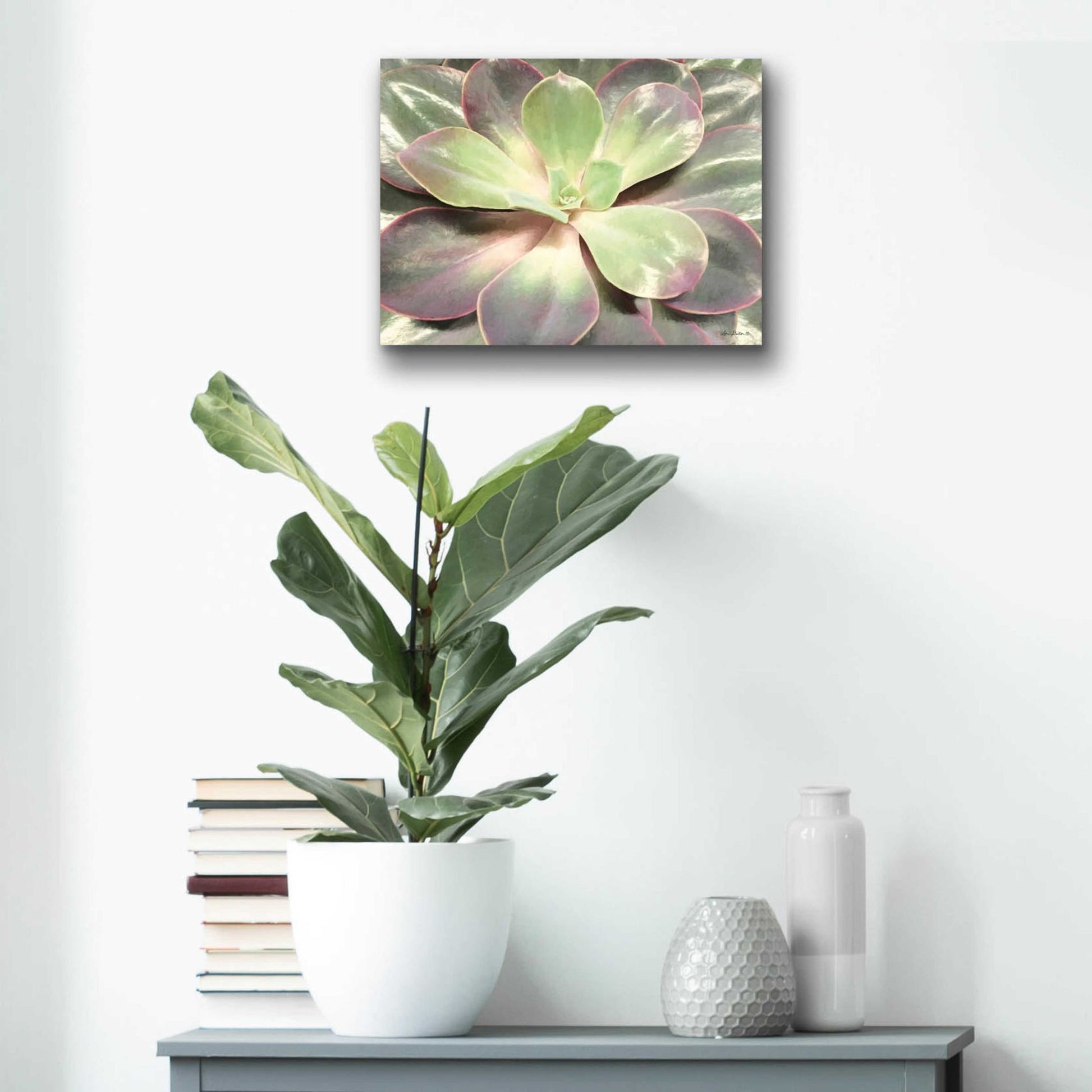 Epic Art 'Glowing Succulent I' by Lori Deiter Acrylic Glass Wall Art,16x12