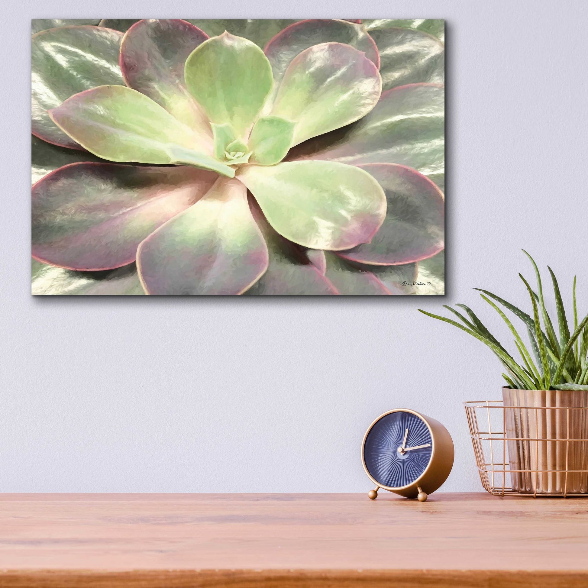 Epic Art 'Glowing Succulent I' by Lori Deiter Acrylic Glass Wall Art,16x12