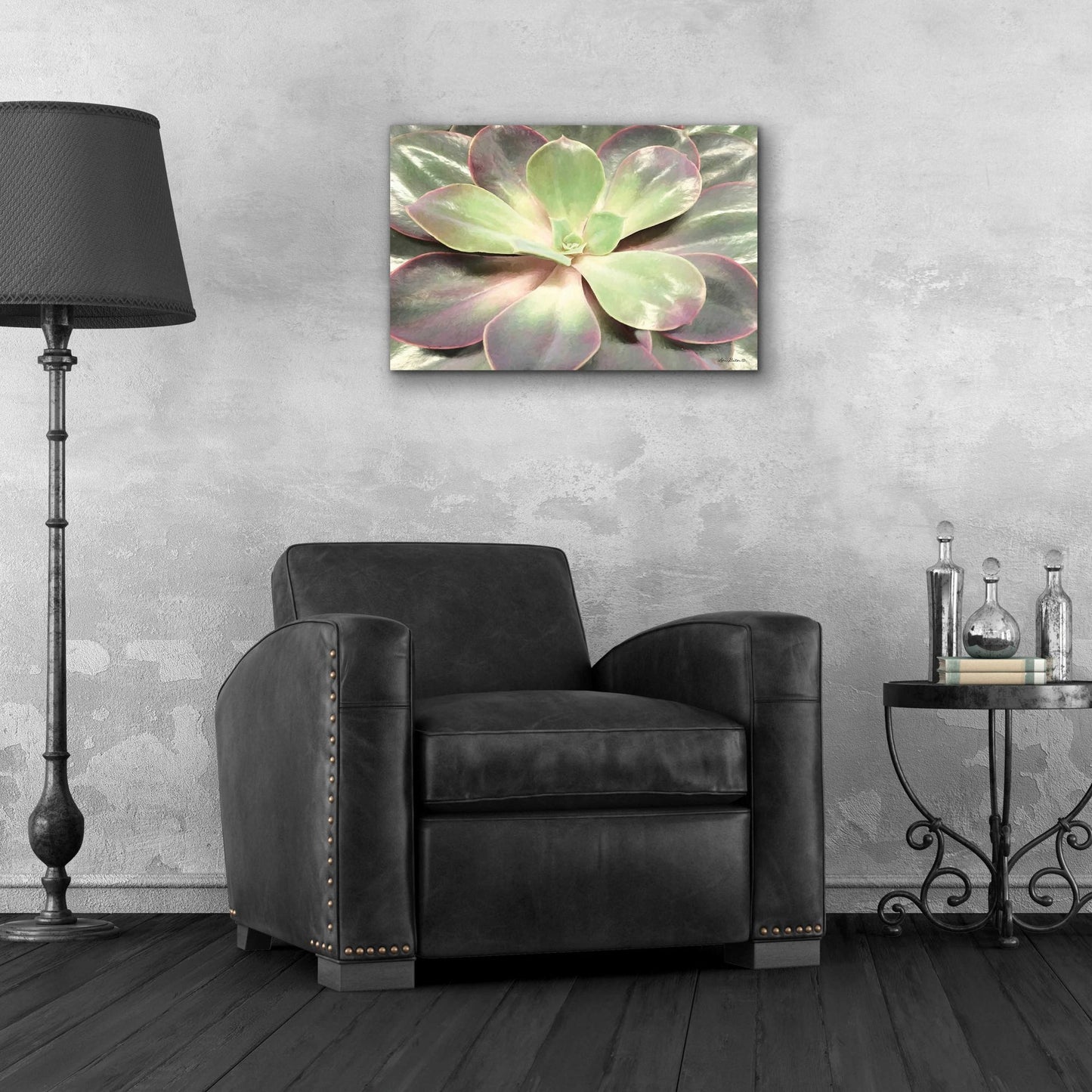 Epic Art 'Glowing Succulent I' by Lori Deiter Acrylic Glass Wall Art,24x16