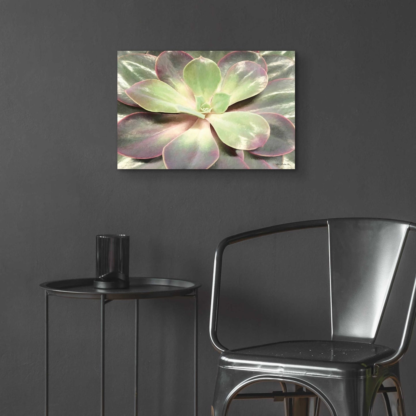 Epic Art 'Glowing Succulent I' by Lori Deiter Acrylic Glass Wall Art,24x16