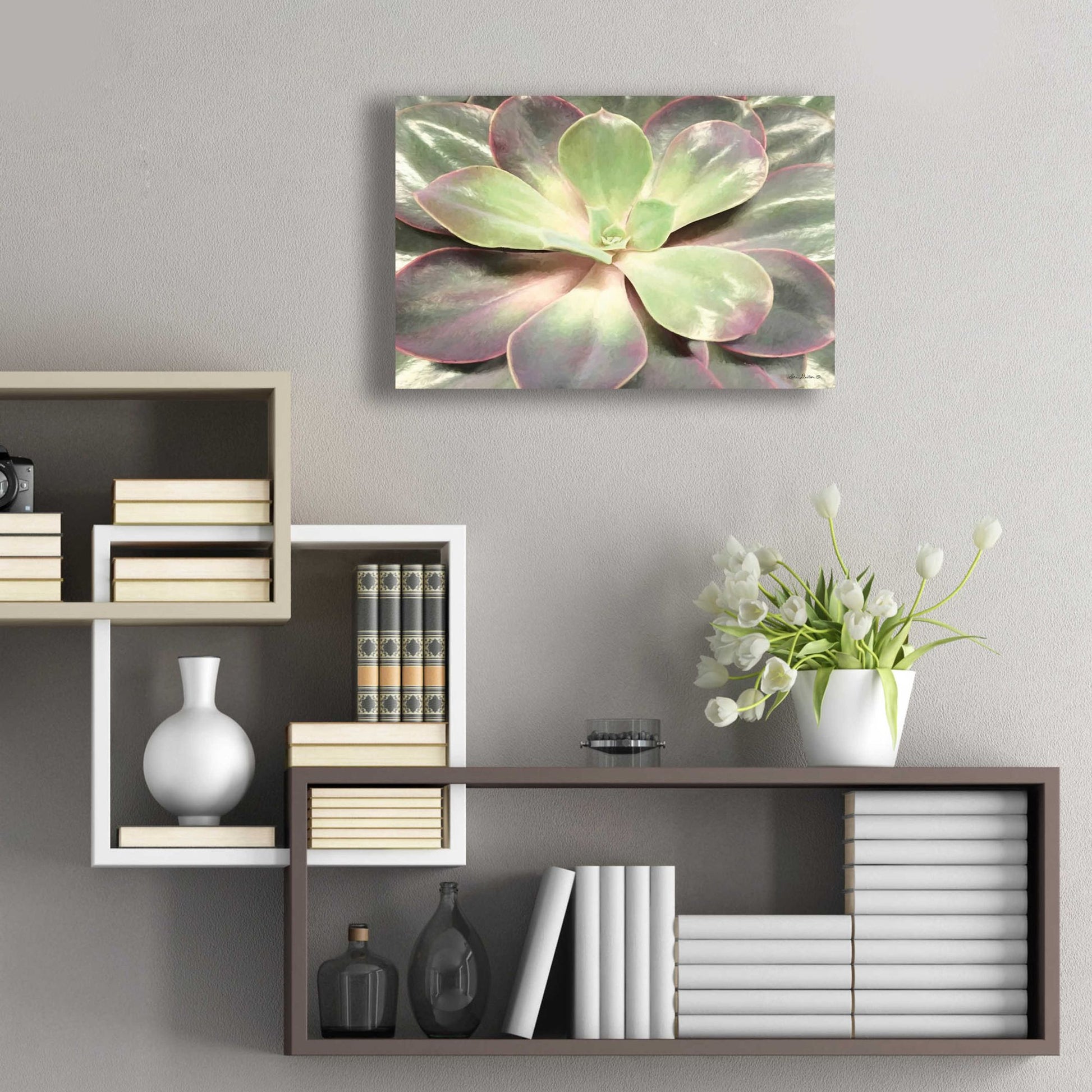 Epic Art 'Glowing Succulent I' by Lori Deiter Acrylic Glass Wall Art,24x16