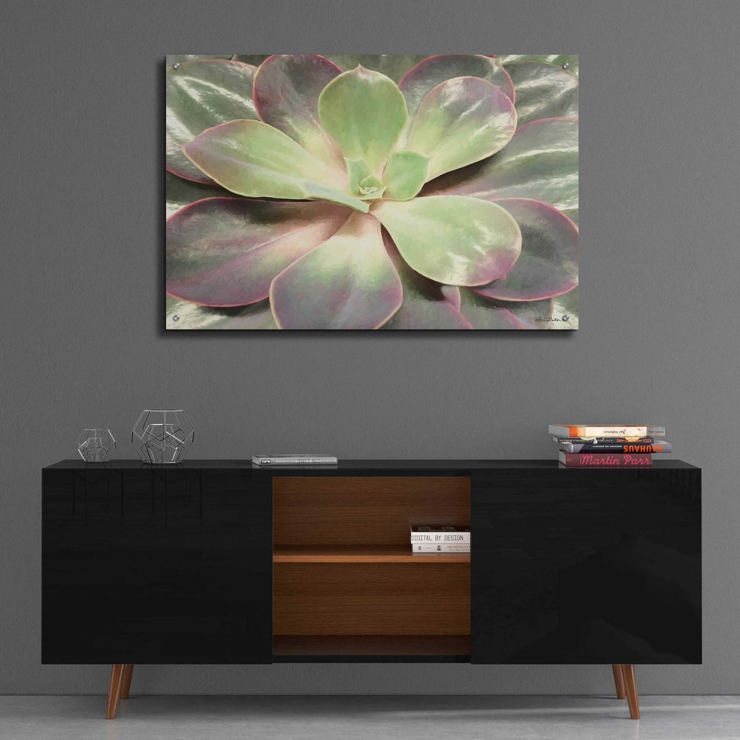 Epic Art 'Glowing Succulent I' by Lori Deiter Acrylic Glass Wall Art,36x24