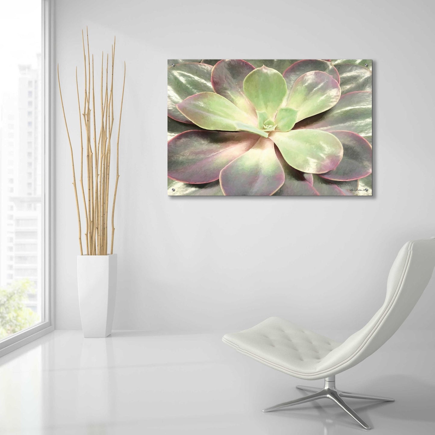 Epic Art 'Glowing Succulent I' by Lori Deiter Acrylic Glass Wall Art,36x24