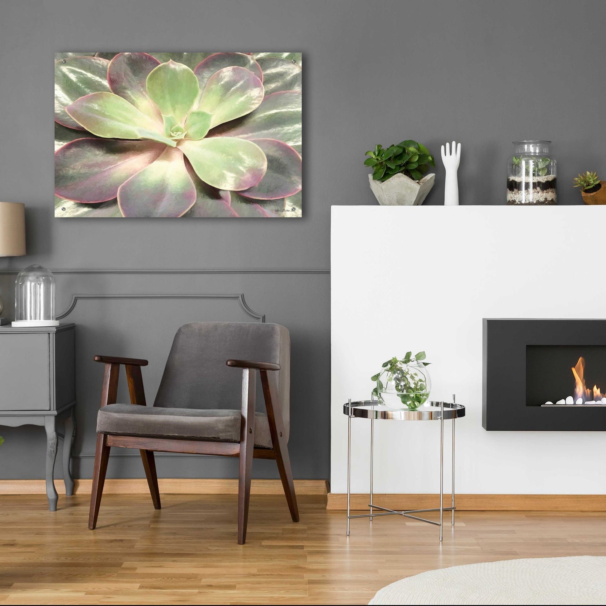 Epic Art 'Glowing Succulent I' by Lori Deiter Acrylic Glass Wall Art,36x24