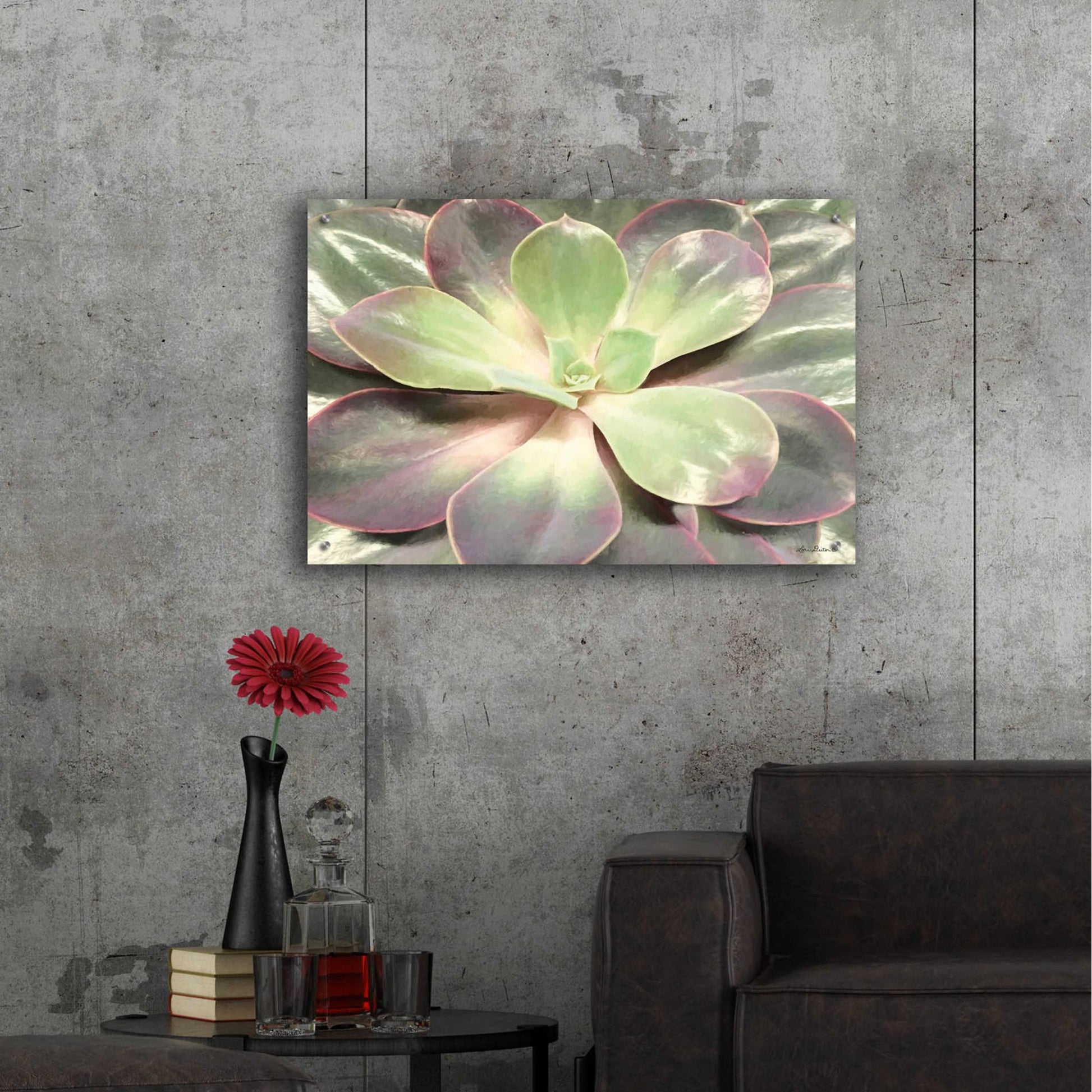 Epic Art 'Glowing Succulent I' by Lori Deiter Acrylic Glass Wall Art,36x24