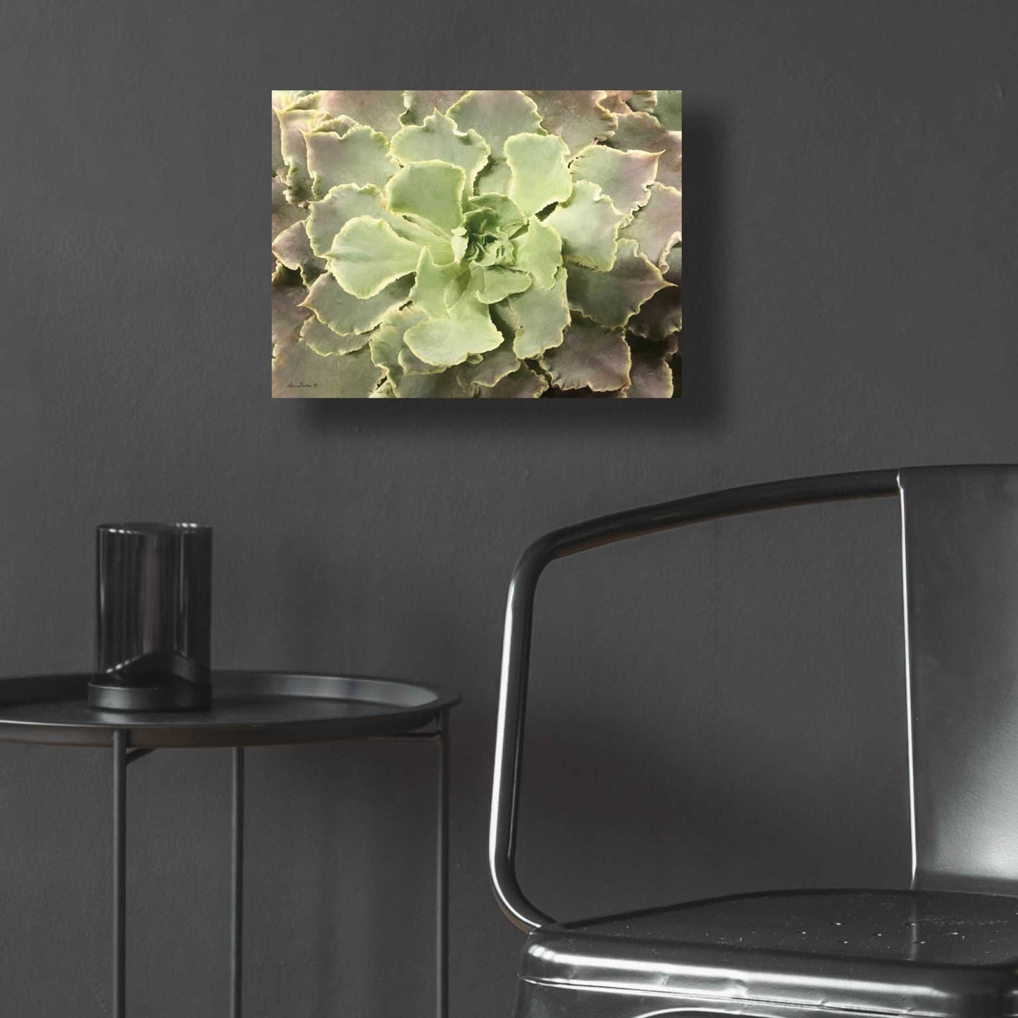 Epic Art 'Glowing Succulent II' by Lori Deiter Acrylic Glass Wall Art,16x12