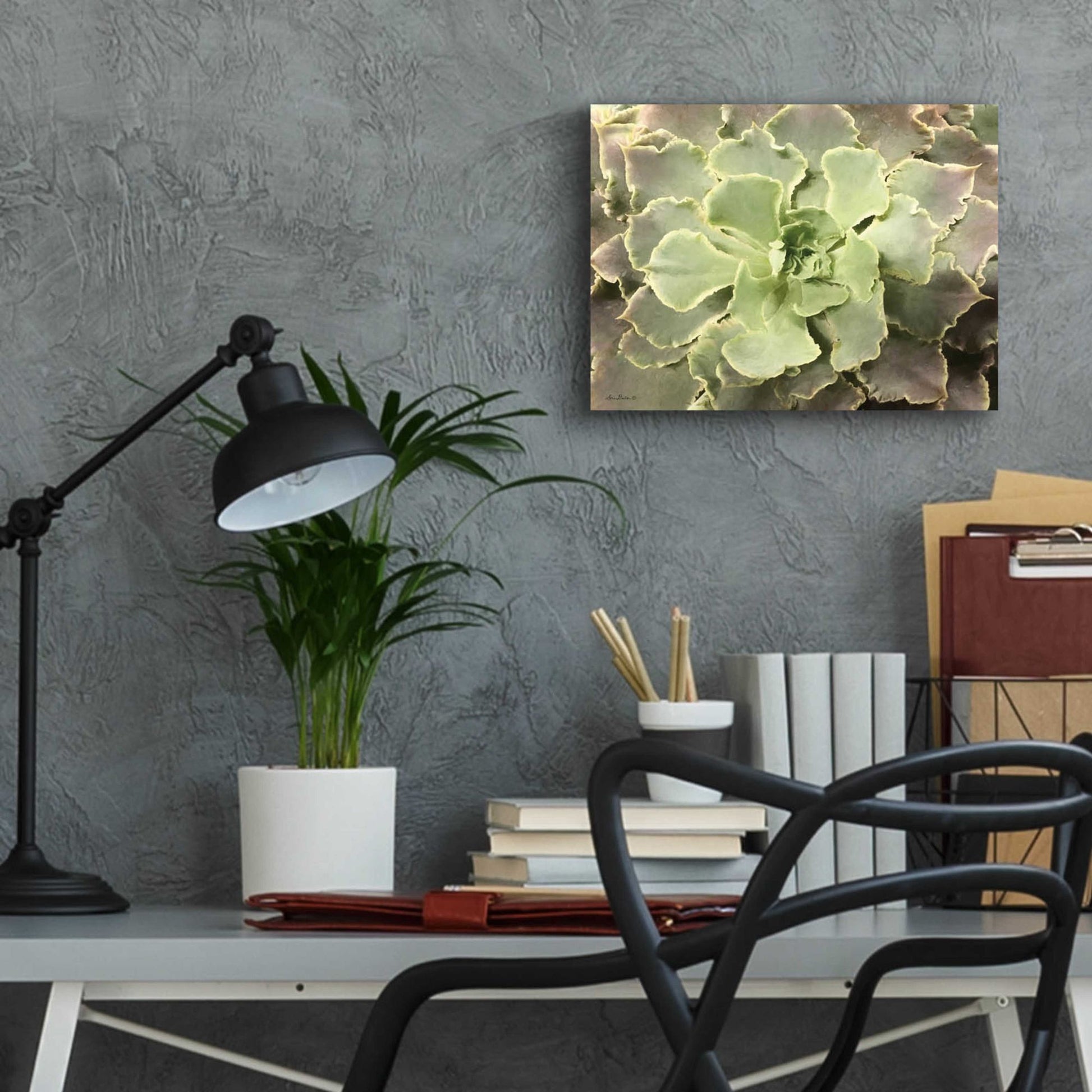 Epic Art 'Glowing Succulent II' by Lori Deiter Acrylic Glass Wall Art,16x12