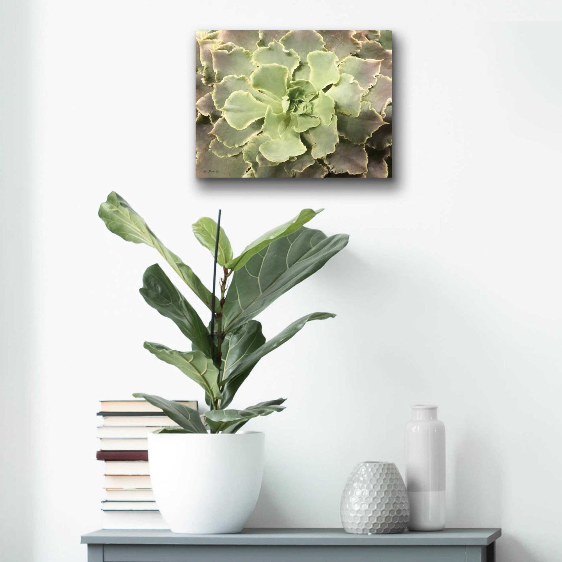 Epic Art 'Glowing Succulent II' by Lori Deiter Acrylic Glass Wall Art,16x12