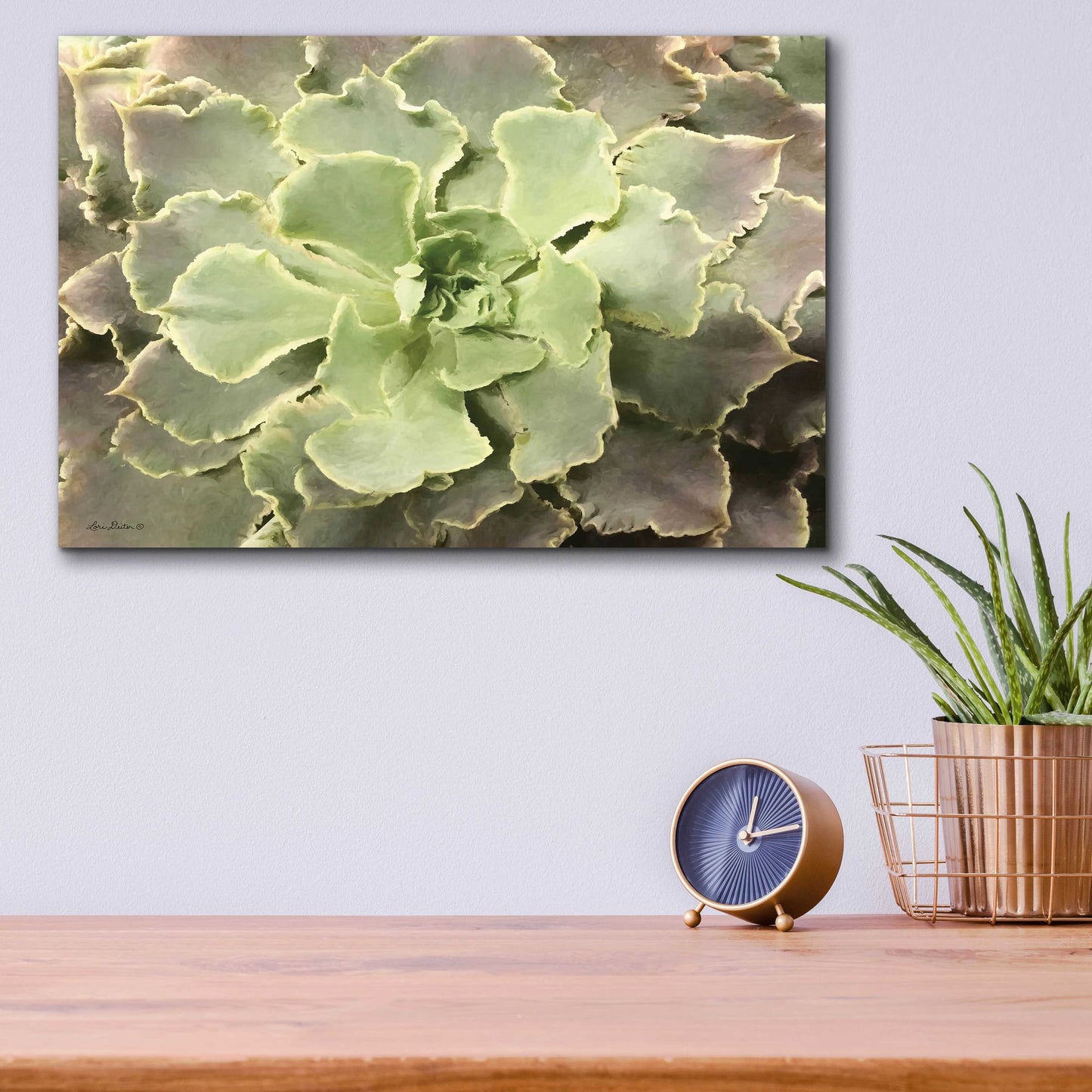 Epic Art 'Glowing Succulent II' by Lori Deiter Acrylic Glass Wall Art,16x12