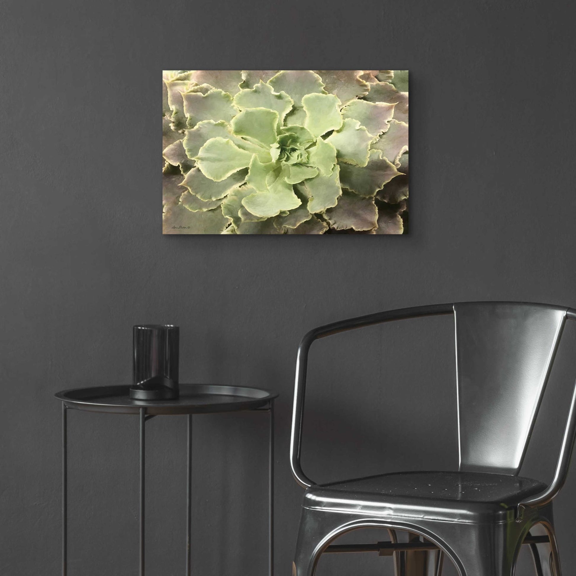 Epic Art 'Glowing Succulent II' by Lori Deiter Acrylic Glass Wall Art,24x16