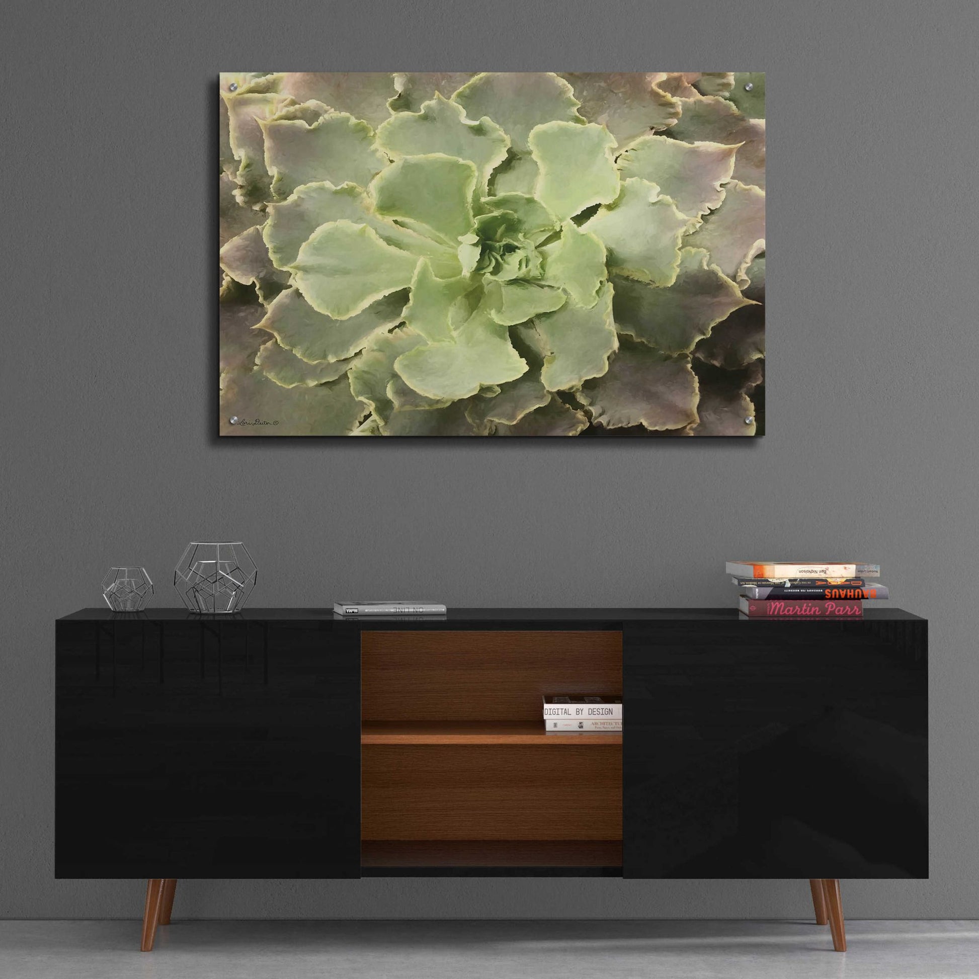 Epic Art 'Glowing Succulent II' by Lori Deiter Acrylic Glass Wall Art,36x24