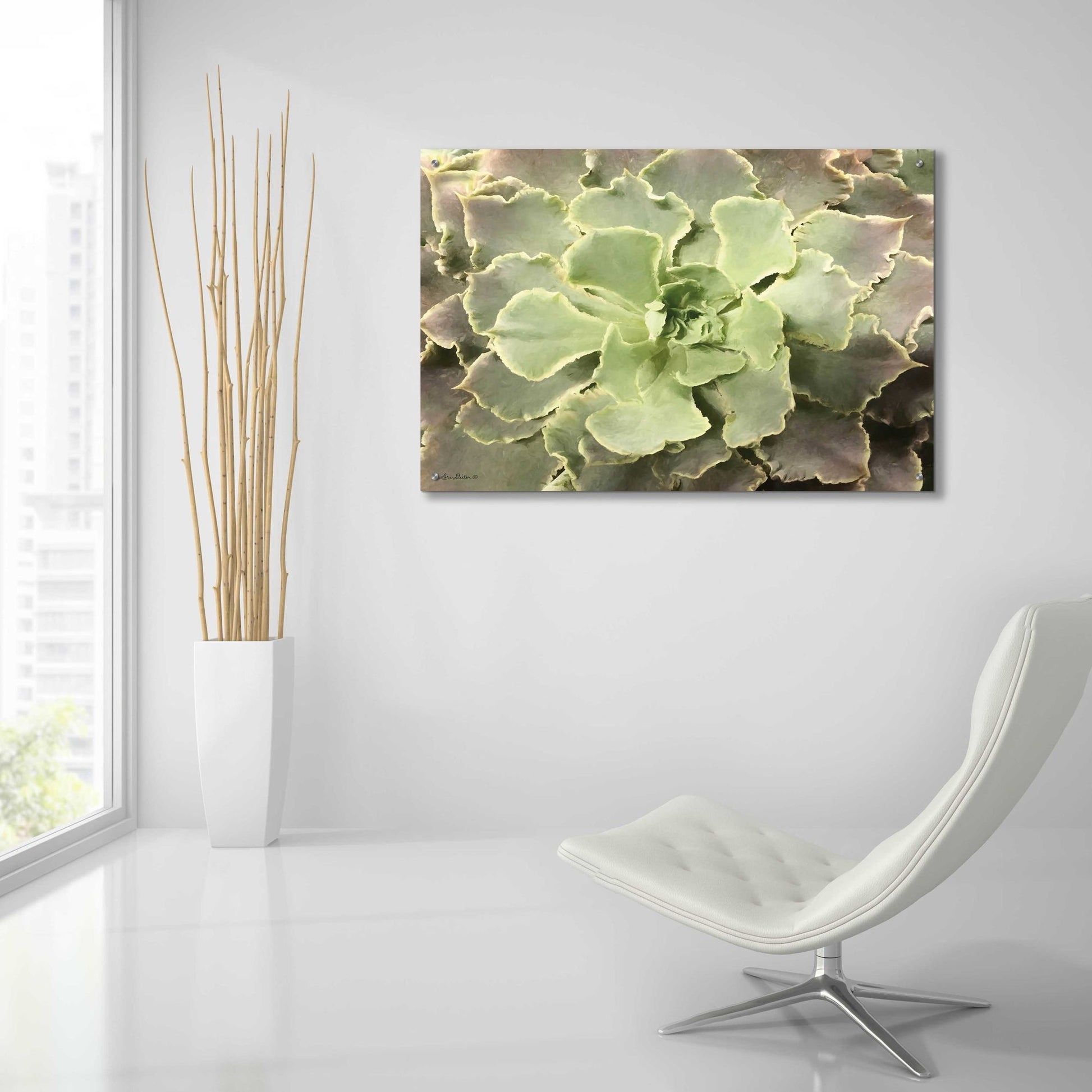 Epic Art 'Glowing Succulent II' by Lori Deiter Acrylic Glass Wall Art,36x24