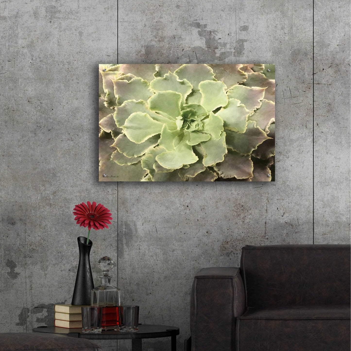 Epic Art 'Glowing Succulent II' by Lori Deiter Acrylic Glass Wall Art,36x24