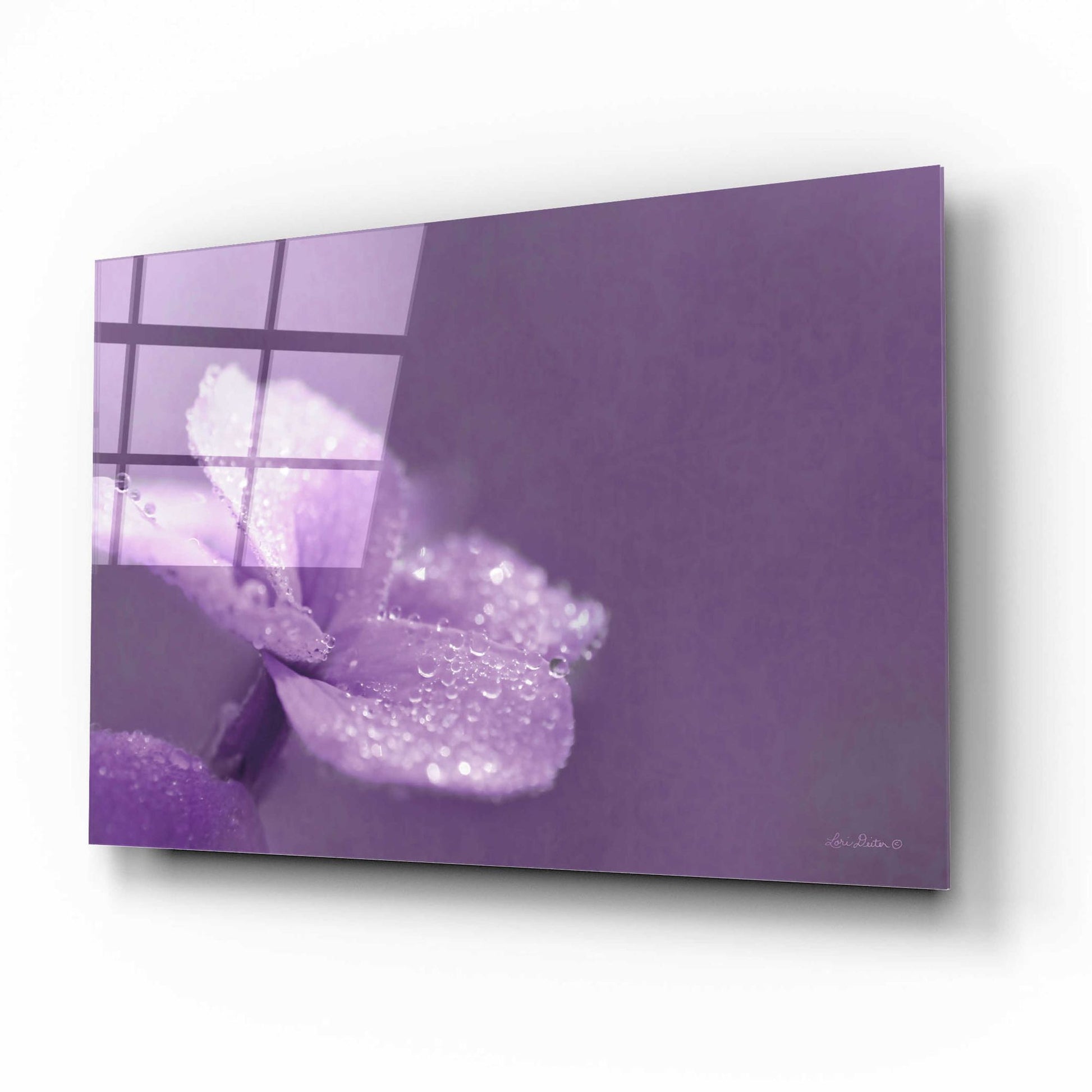 Epic Art 'Purple Dew' by Lori Deiter Acrylic Glass Wall Art,16x12