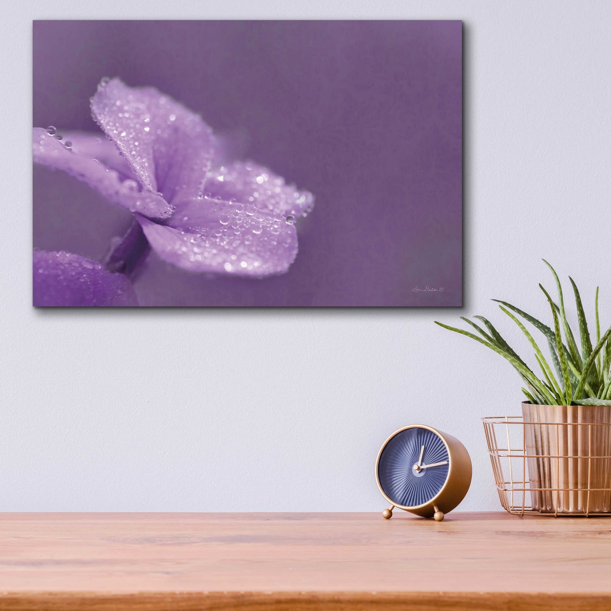 Epic Art 'Purple Dew' by Lori Deiter Acrylic Glass Wall Art,16x12