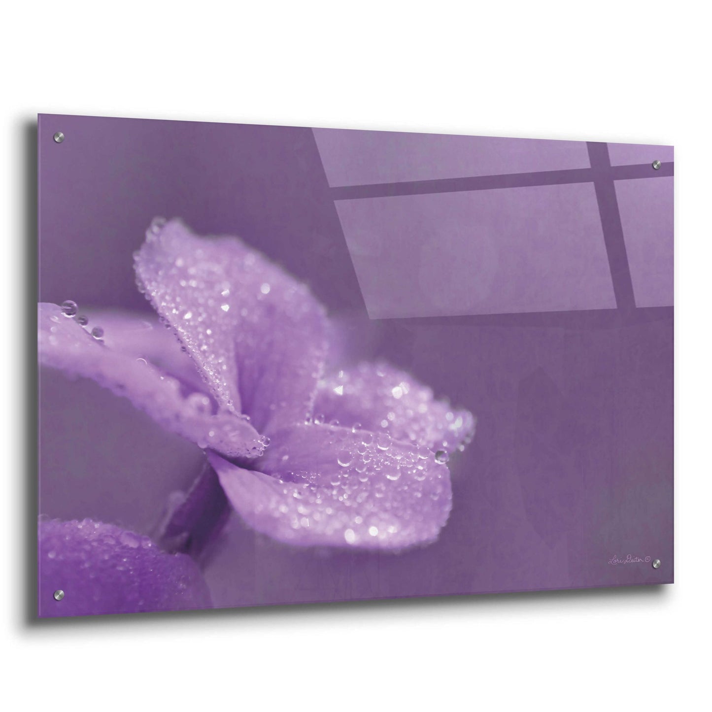 Epic Art 'Purple Dew' by Lori Deiter Acrylic Glass Wall Art,36x24