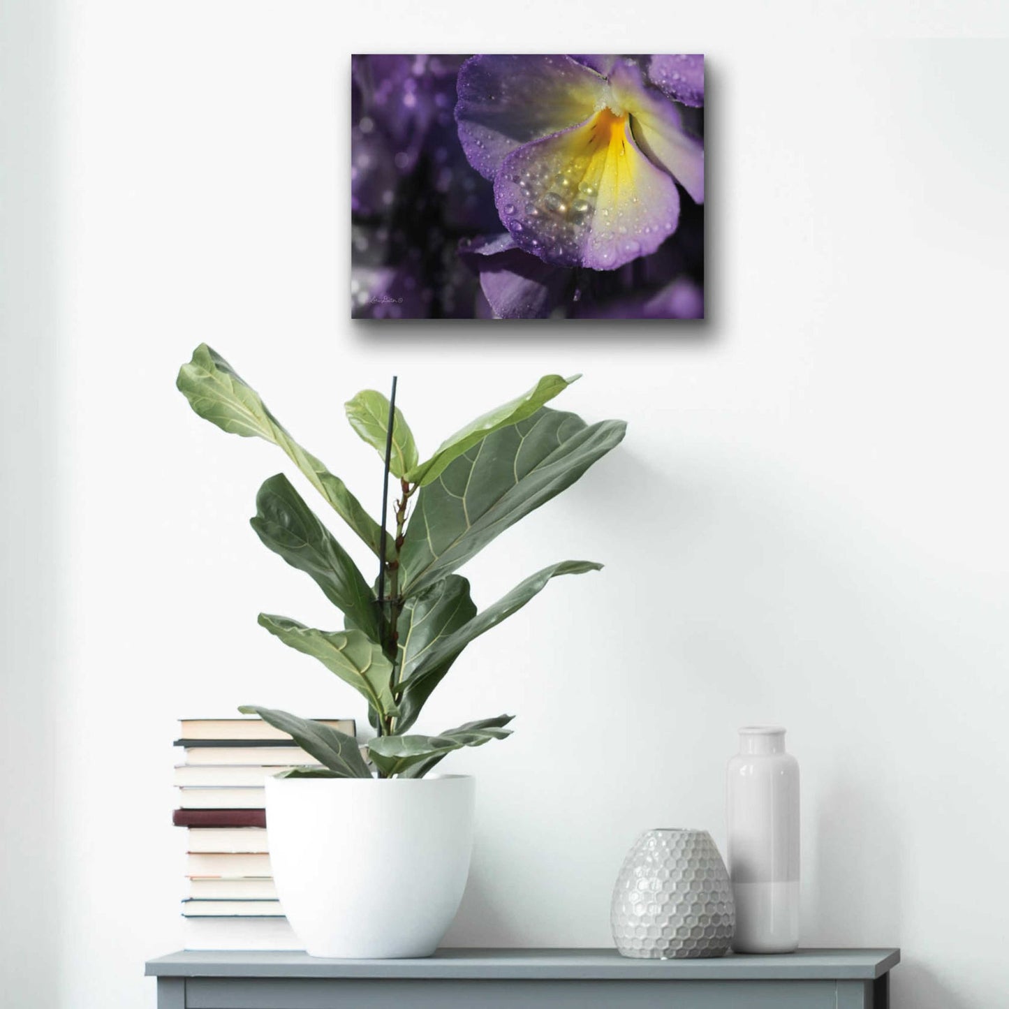 Epic Art 'Purple Pansy' by Lori Deiter Acrylic Glass Wall Art,16x12