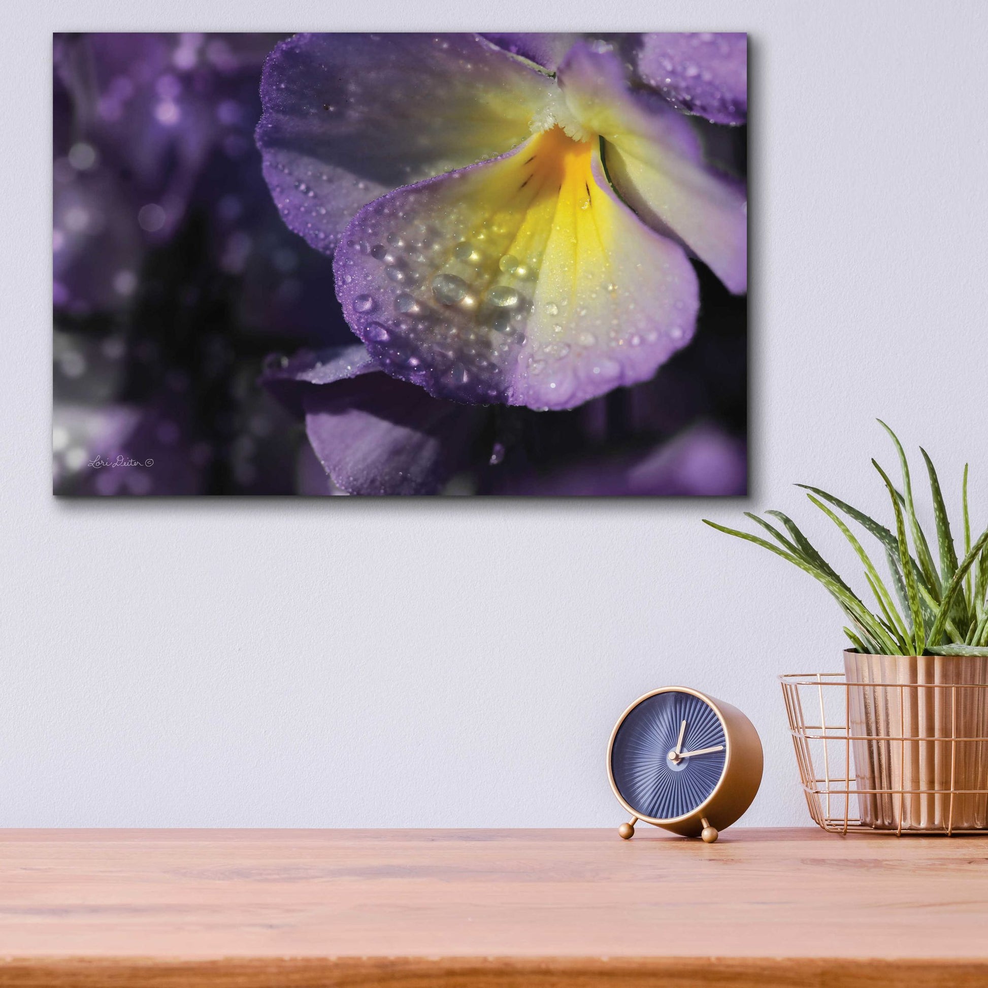 Epic Art 'Purple Pansy' by Lori Deiter Acrylic Glass Wall Art,16x12