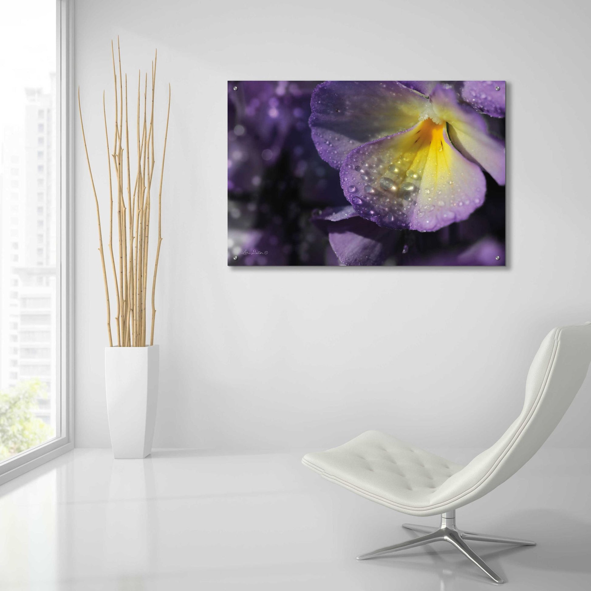 Epic Art 'Purple Pansy' by Lori Deiter Acrylic Glass Wall Art,36x24