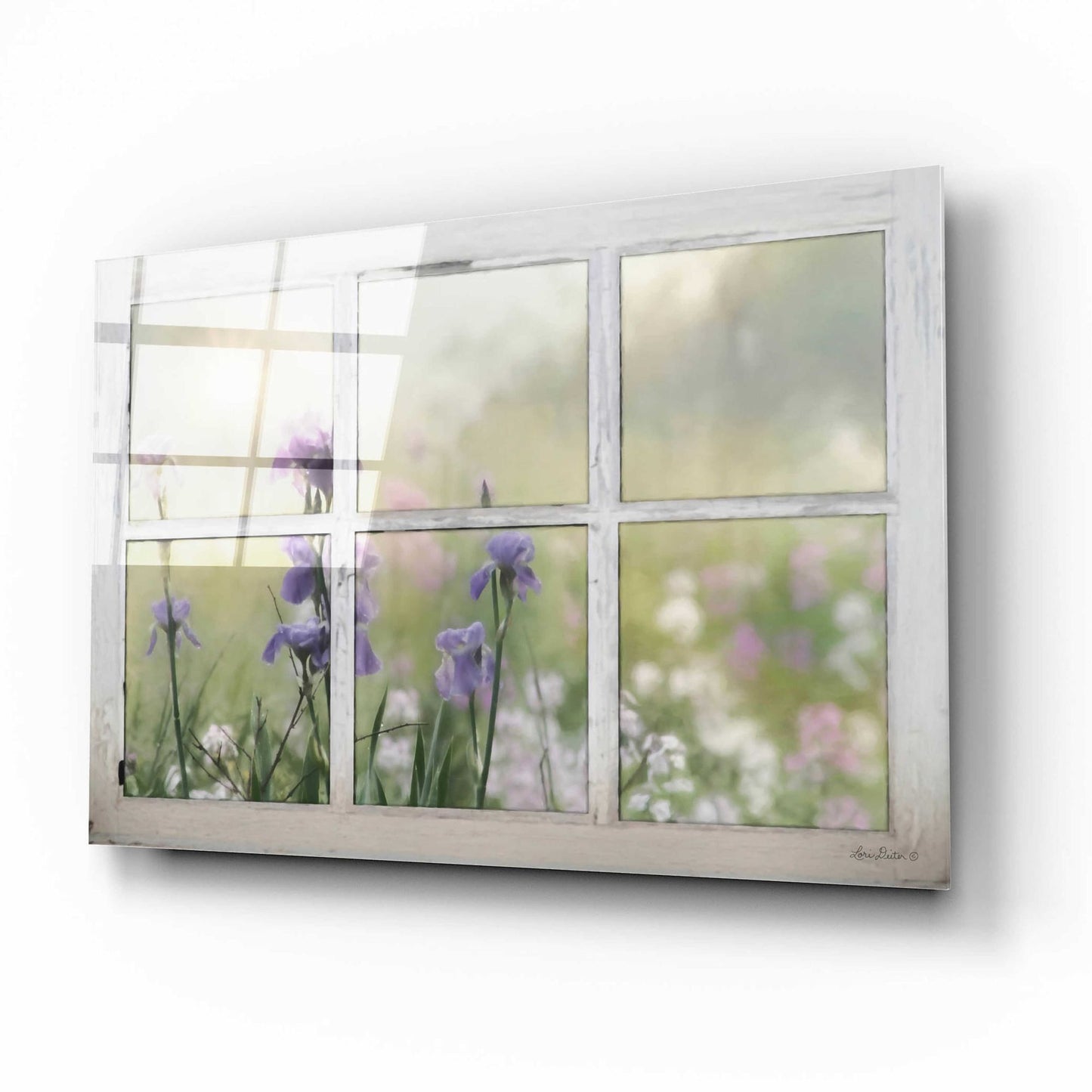 Epic Art 'Framed Flowers' by Lori Deiter Acrylic Glass Wall Art,16x12