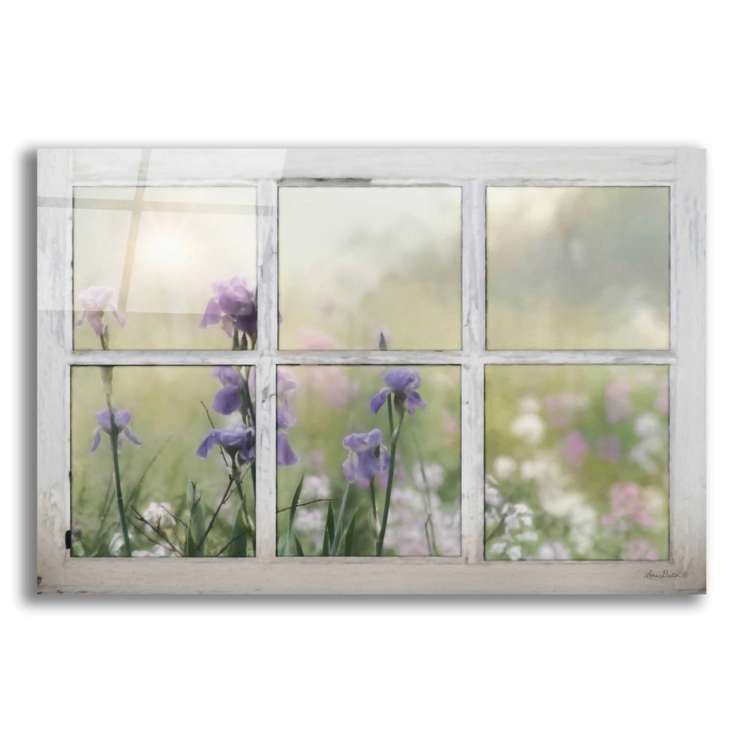 Epic Art 'Framed Flowers' by Lori Deiter Acrylic Glass Wall Art,24x16