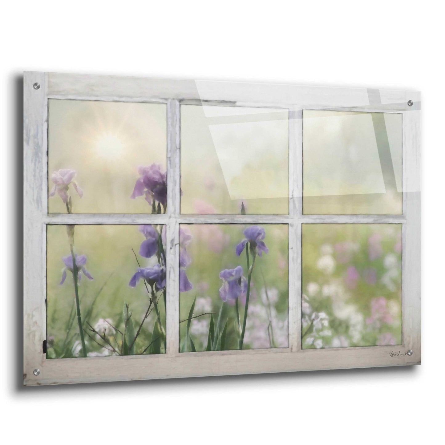 Epic Art 'Framed Flowers' by Lori Deiter Acrylic Glass Wall Art,36x24